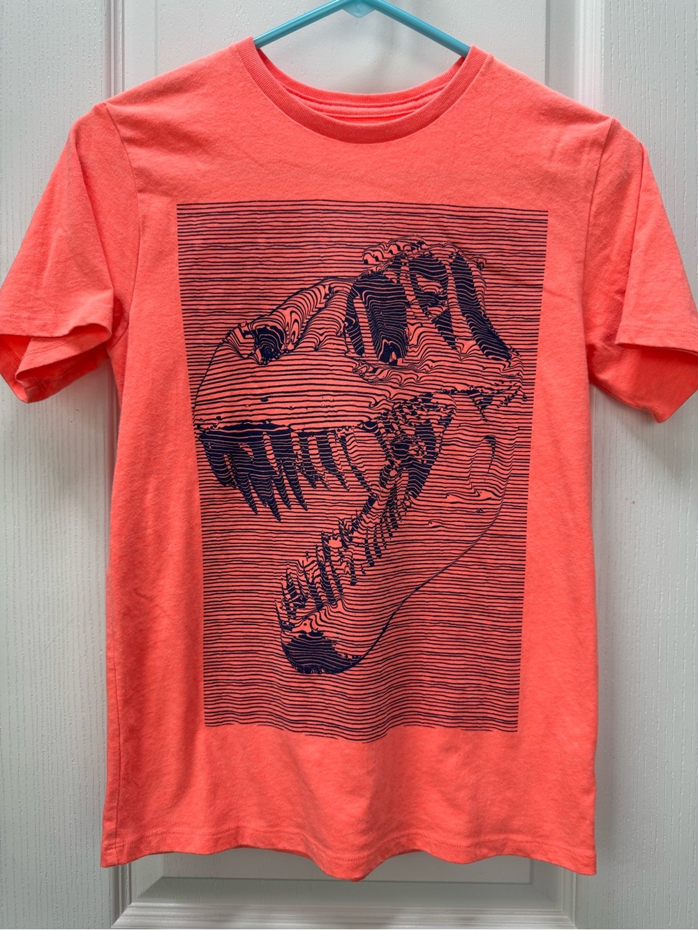 The children’s place dinosaur tee